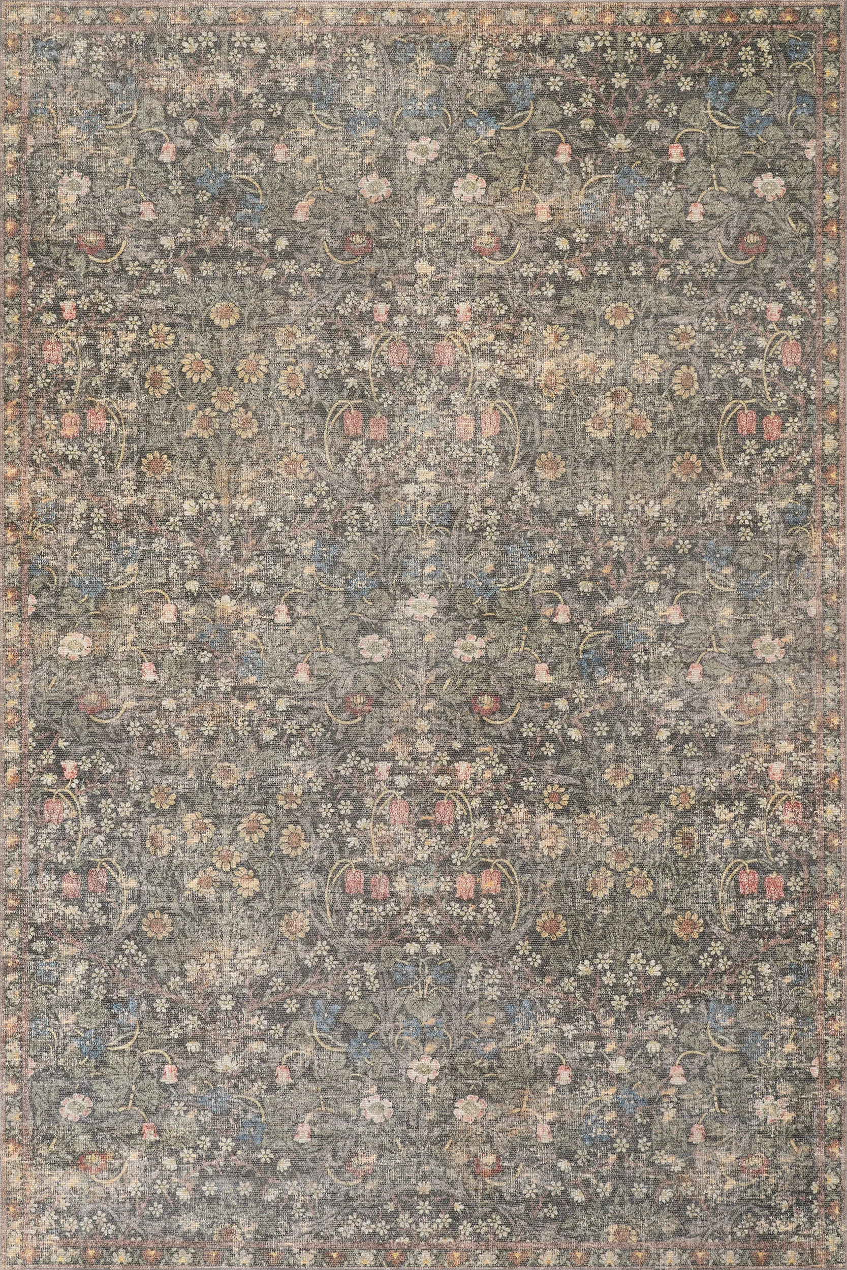Indray Traditional Floral and Paisley Rug