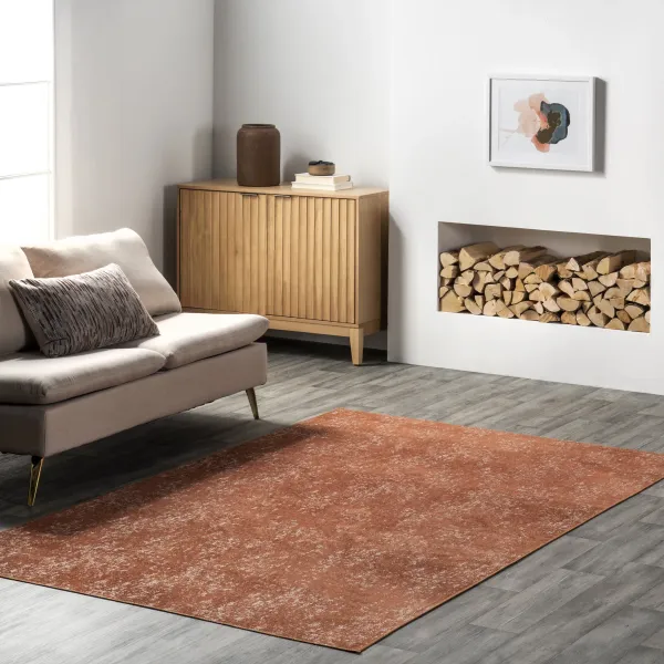 Carla Washable Hazy Solid Rug