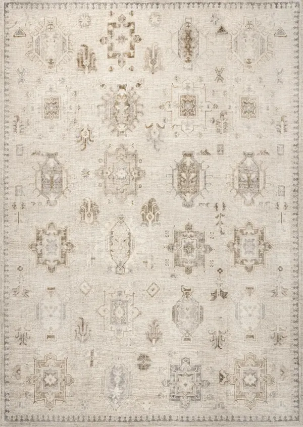Brenda Hazy Heraldry Washable Rug
