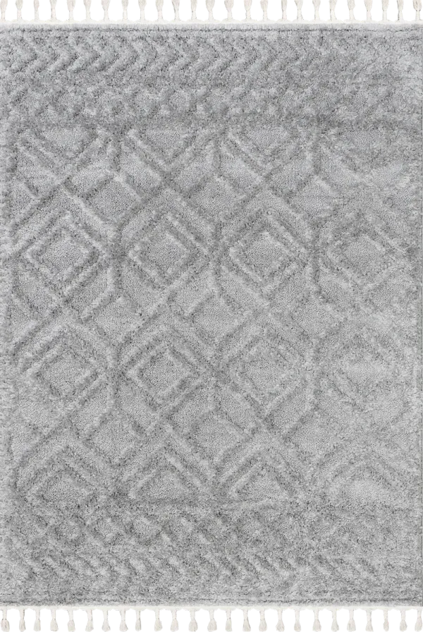Ramira Raised Trellis Rug