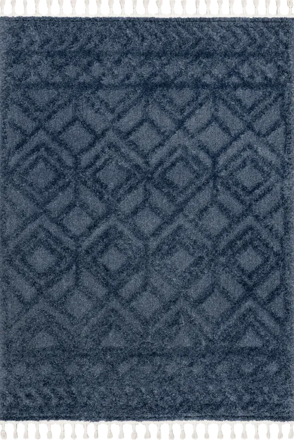 Ramira Raised Trellis Rug