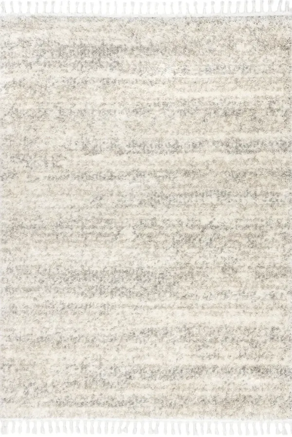 Shaded Shag With Tassels Rug