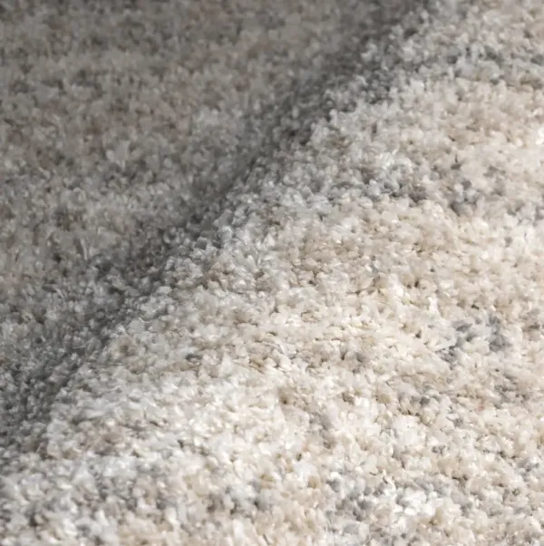 Shaded Shag With Tassels Rug