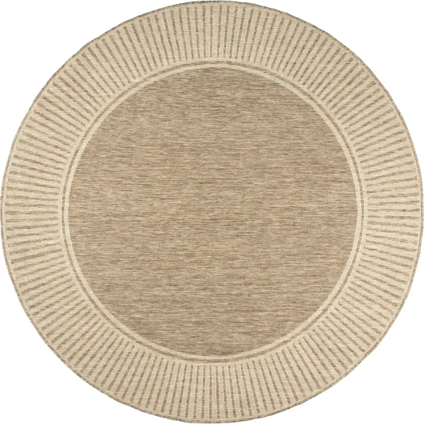 Striped Border Indoor/Outdoor Flatweave Rug