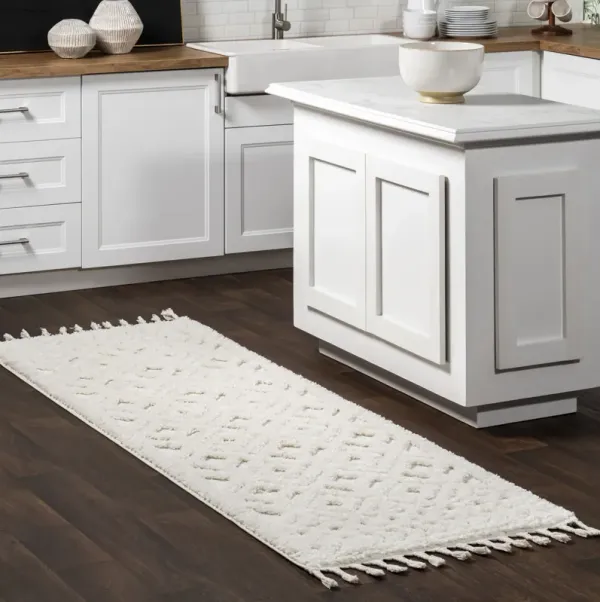 Ramira Raised Trellis Rug