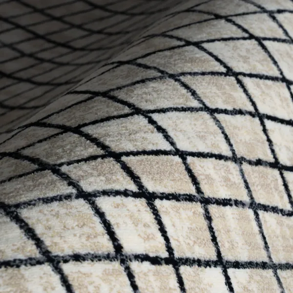 Lizenna Modern Checkered Rug