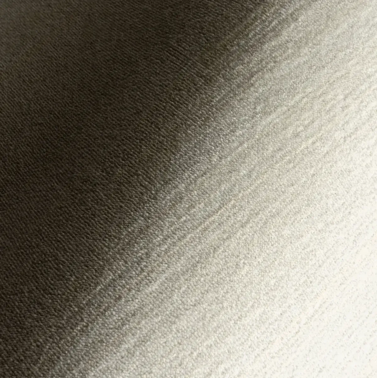 Lylah Solid Fringed Rug