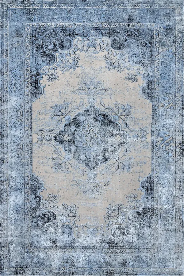 Faded Medallion Rug