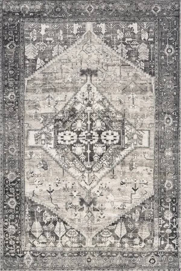 Adley Hexagon Medallion Washable Rug