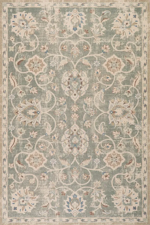 Xavena Floral & Paisley Transitional Rug