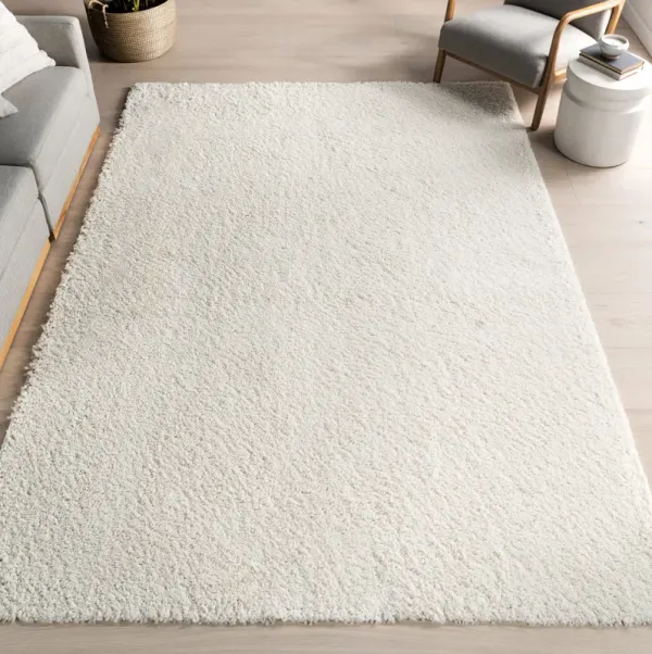 Plush Solid Shaggy Rug
