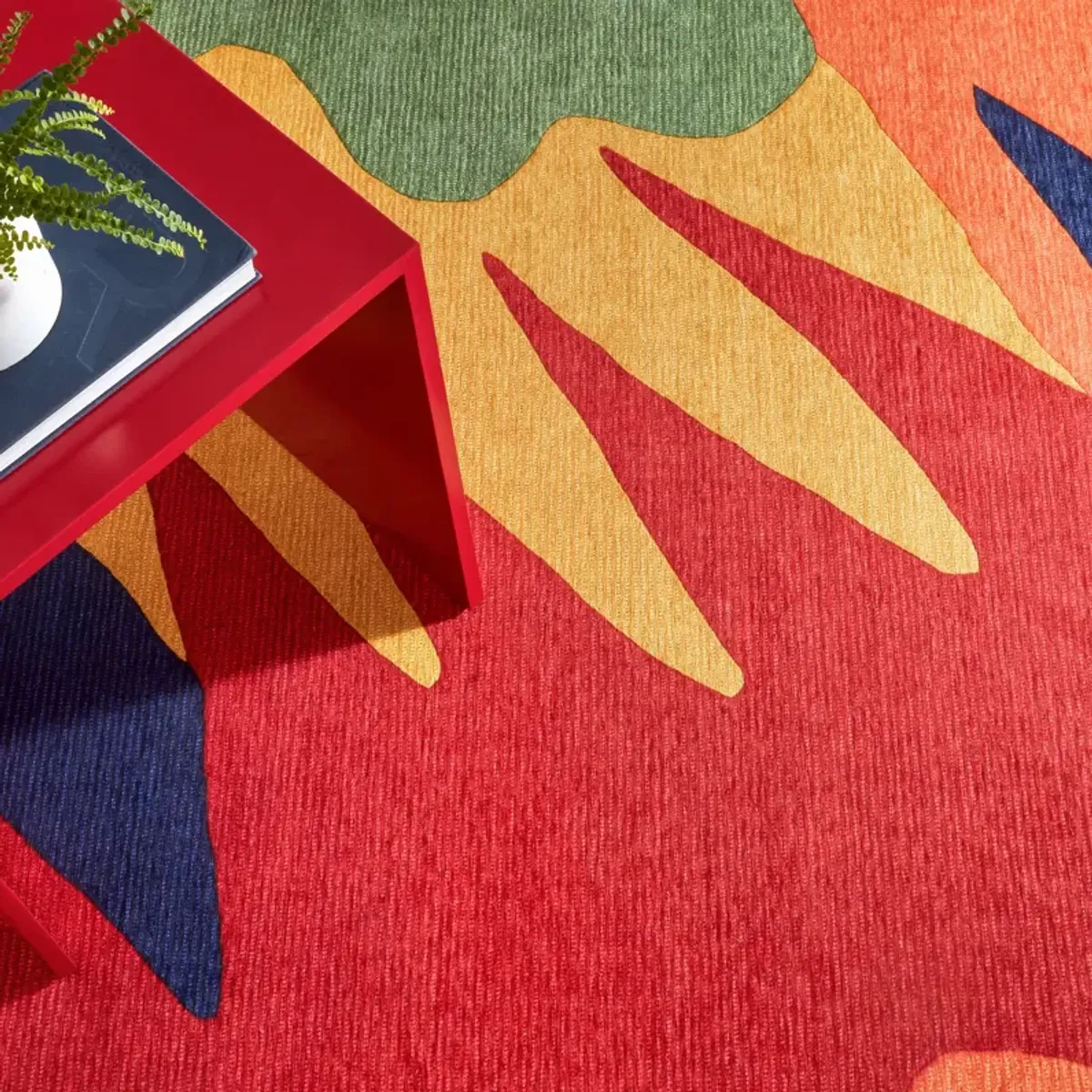 Graphic Machine Washable Rug