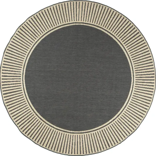 Striped Border Indoor/Outdoor Flatweave Rug