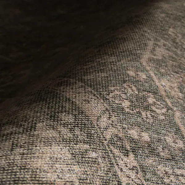 Corali Traditional Vintage & Distressed Rug