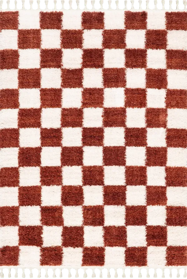 Nell Retro Checkerboard Tasseled Rug