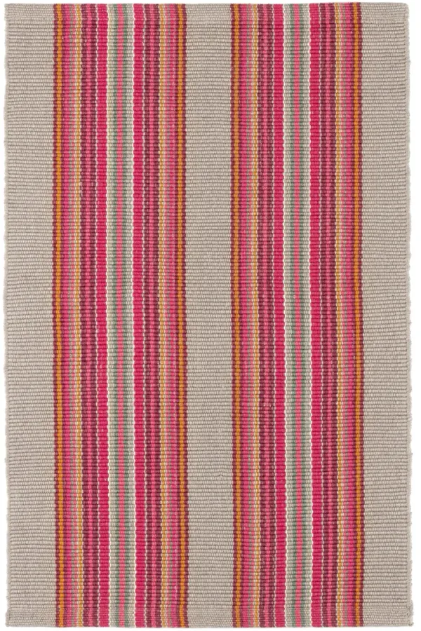Road Runner Handwoven Indoor/Outdoor Rug