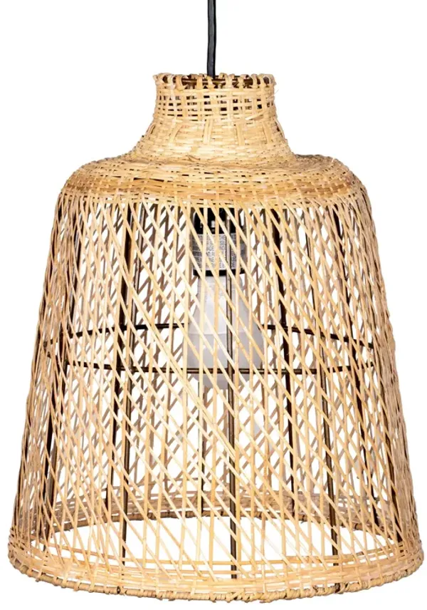 15-inch Rattan Iron Bell Pendant Lamp