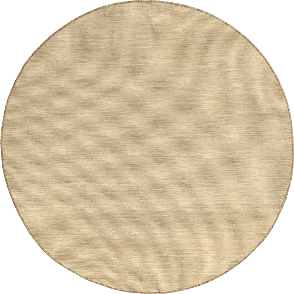 Dorinda Hazy Solid Indoor/Outdoor Rug