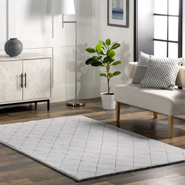 Jaylene Trellis Plush Cloud Washable Rug