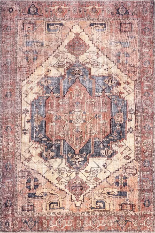 Timeworn Medallion Printed Rug