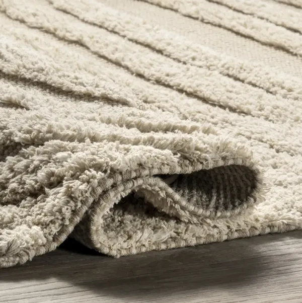 Riley Textured Shag Rug