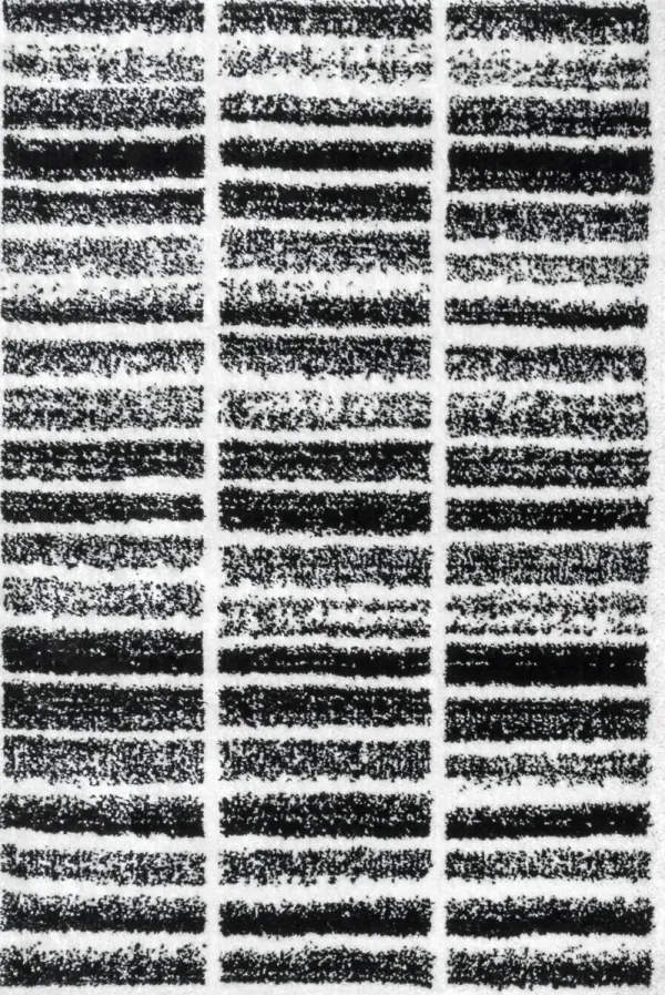 Faded Striped Shag Rug