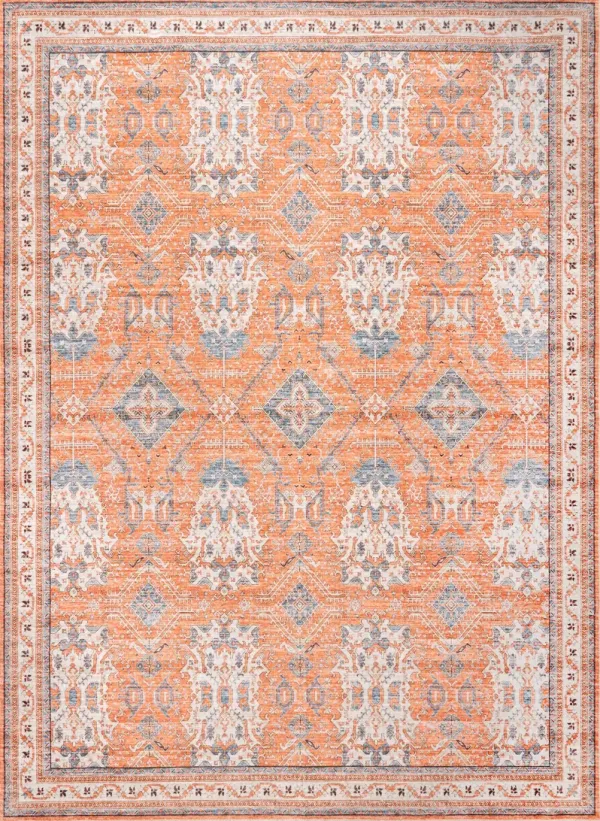 Medallion Washable Rug