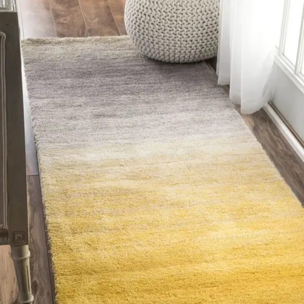 Ombre Shag Rug