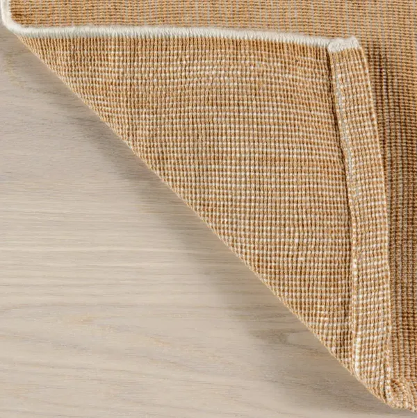 Alira Solid Indoor/Outdoor Rug