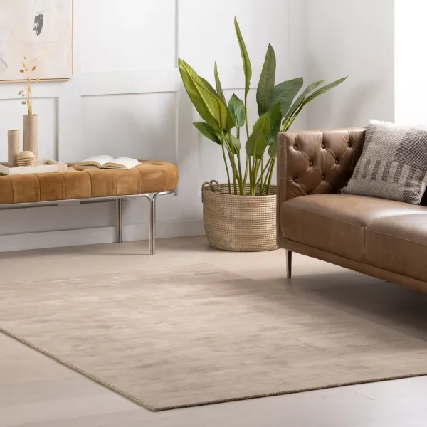 Alva Hand Loom Knotted Viscose Rug