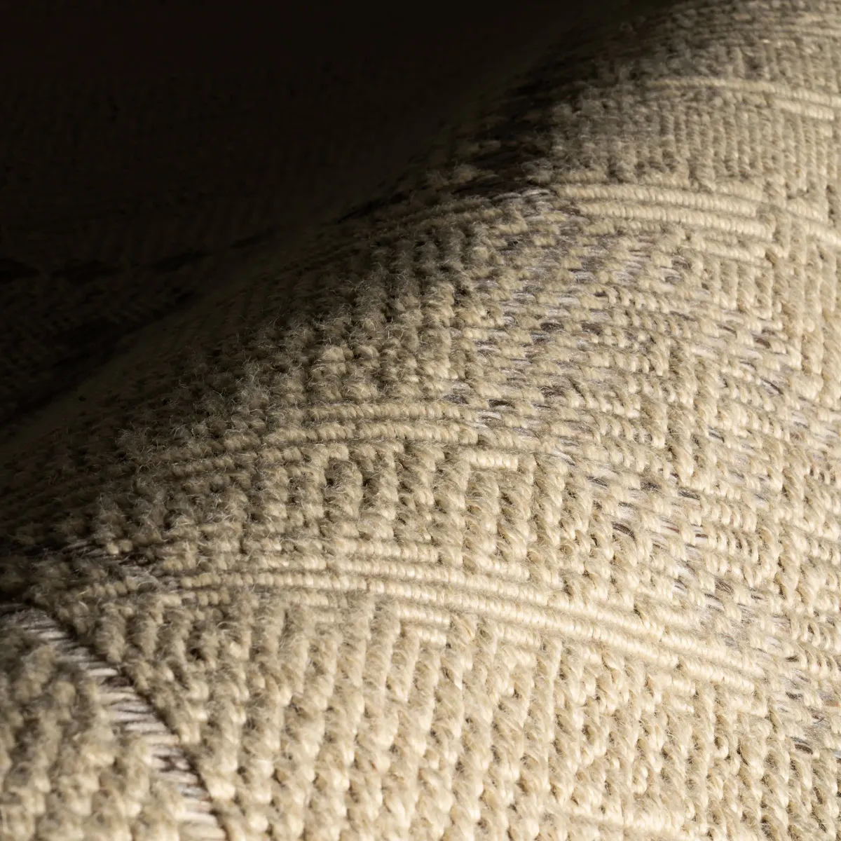Lior Southwestern Vintage and Distressed Rug