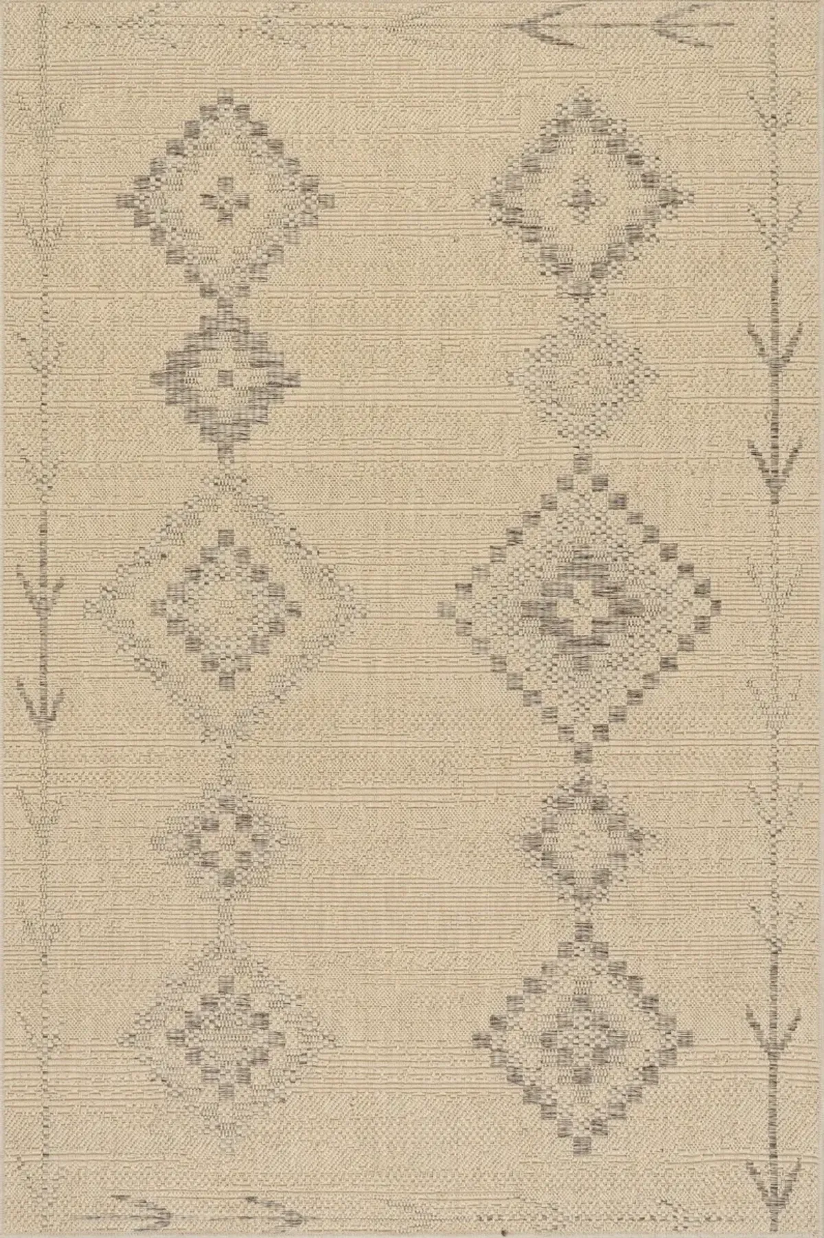 Lior Southwestern Vintage and Distressed Rug