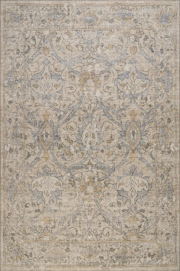 Zahlay Transitional Floral and Paisley Rug