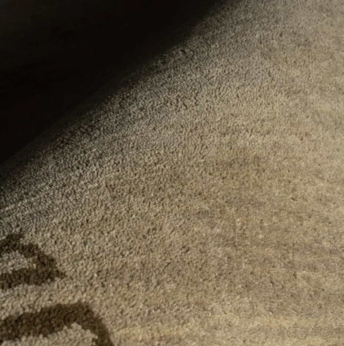 Taya Modern Bordered Rug