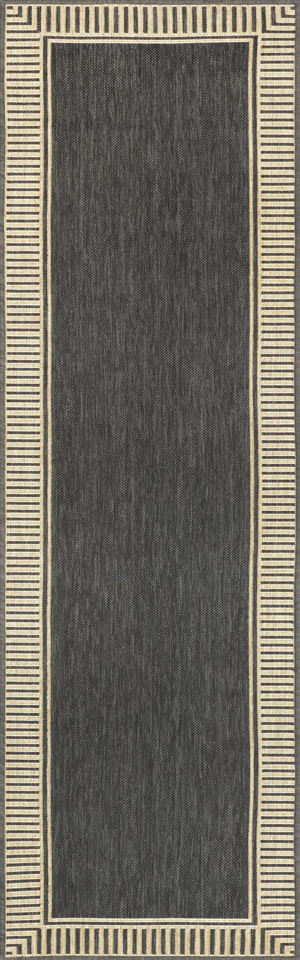 Striped Border Indoor/Outdoor Flatweave Rug