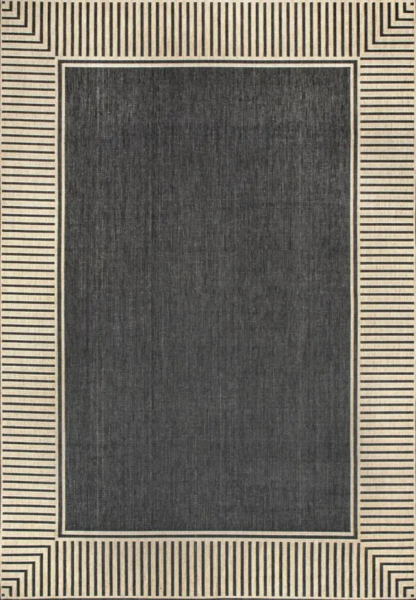 Striped Border Indoor/Outdoor Flatweave Rug
