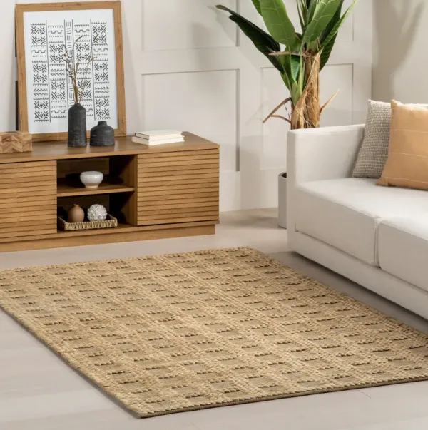 Lennon Checkered Hand Braided Jute Rug