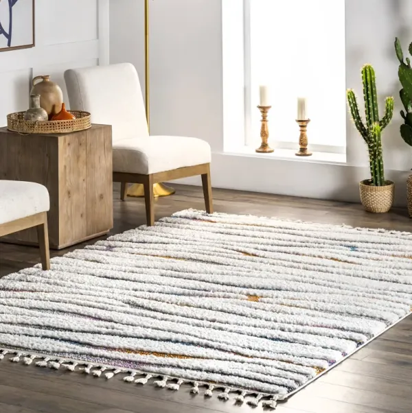 Aritzia Zebra Textured Rug