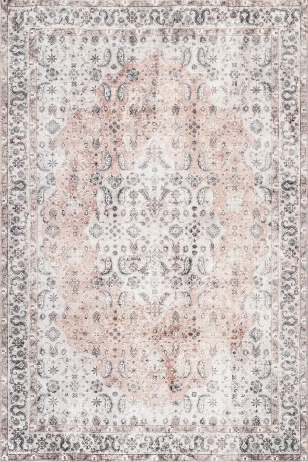 Kinsley Vintage Paisley Rug