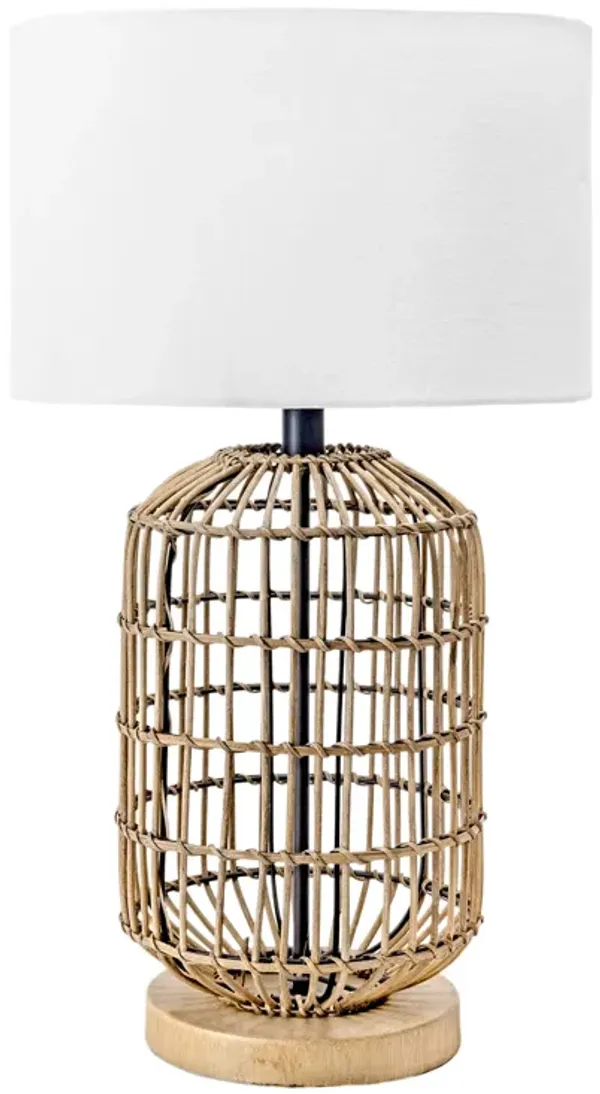 25-inch Rattan Bird Cage Table Lamp