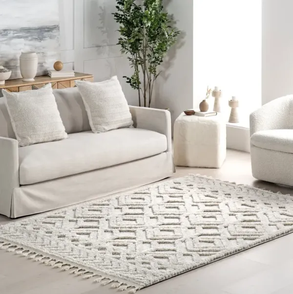 Ramira Raised Trellis Rug