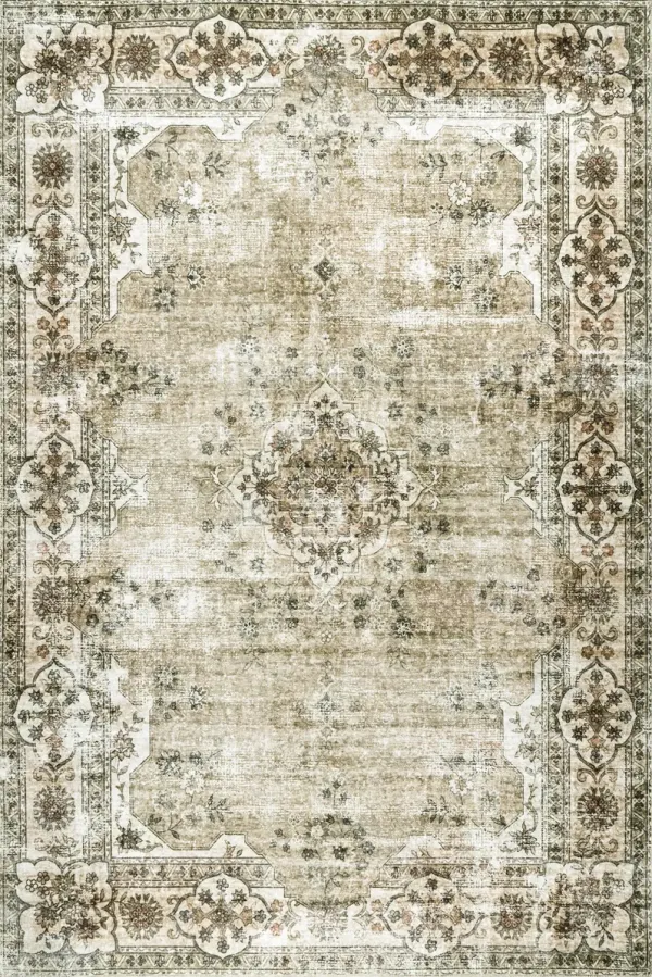 Audrina Persian Washable Rug