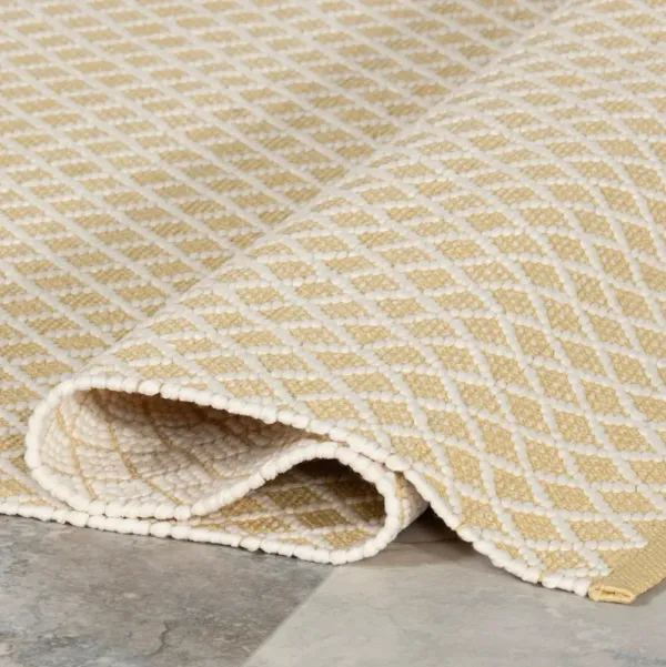 Trellis Handwoven Indoor/Outdoor Rug