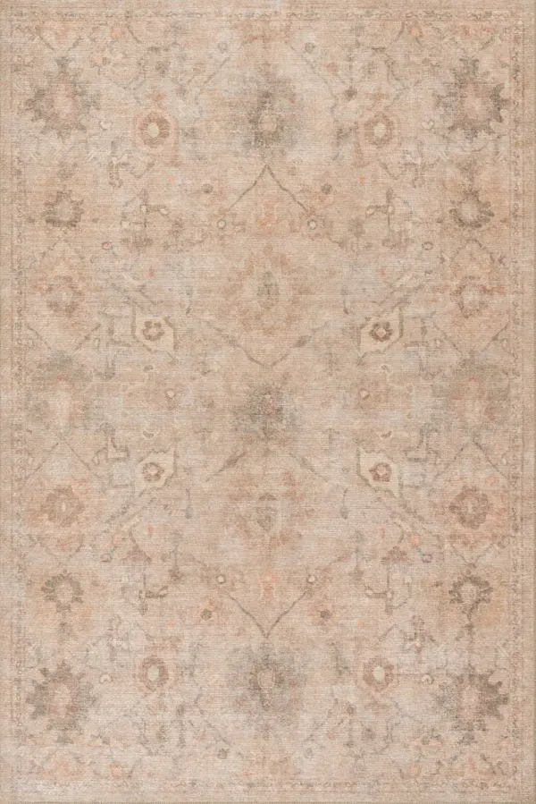 Partha Vintage & Distressed Washable Rug