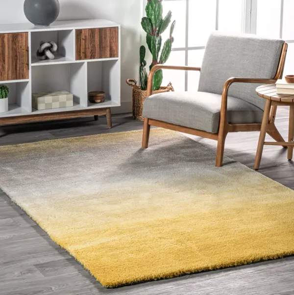 Ombre Shag Rug