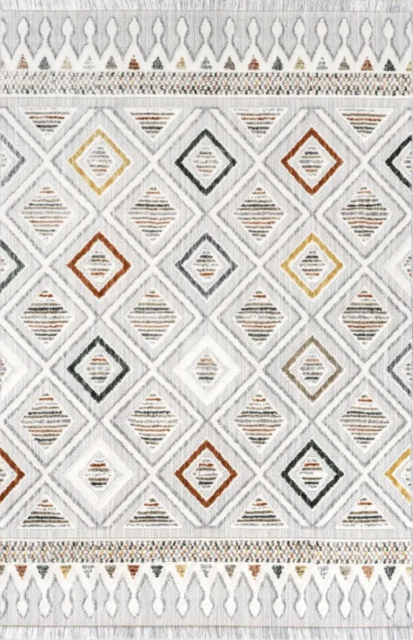 Cathleen Iridescent Bordered Rug