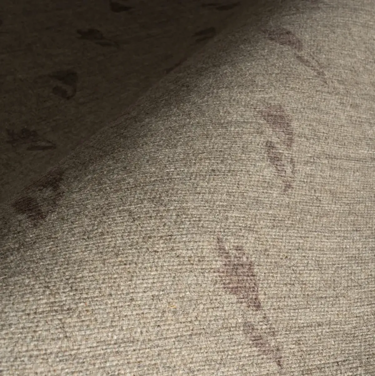 Flora Floral Washable Rug by Nate Berkus