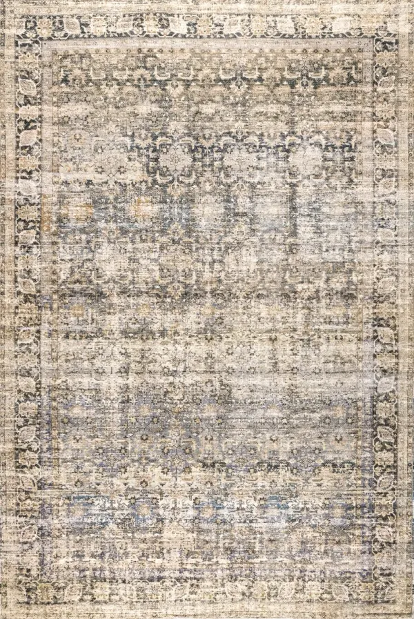 Ivanna Bordered Faded Rug