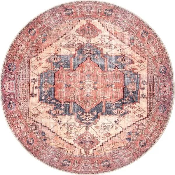 Timeworn Medallion Printed Rug