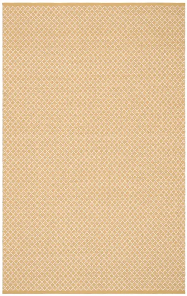 Trellis Handwoven Indoor/Outdoor Rug